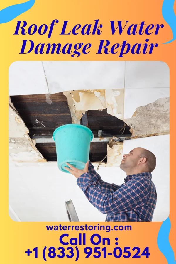 Roof Leak Water Damage Repair in Alexandria, IN