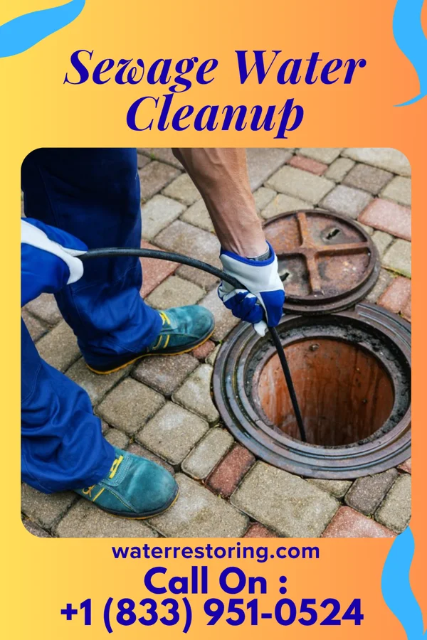 Sewage Water Cleanup in Alexandria, IN